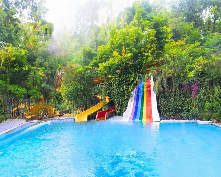 Tree Water Slides