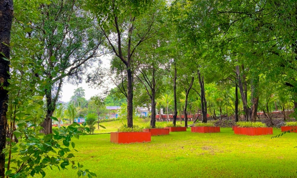 Green Garden Lawn Relax Area