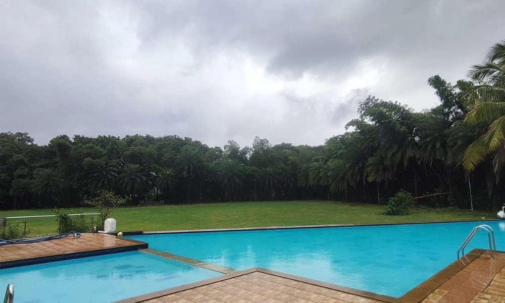 Infinity Pool with Nature View