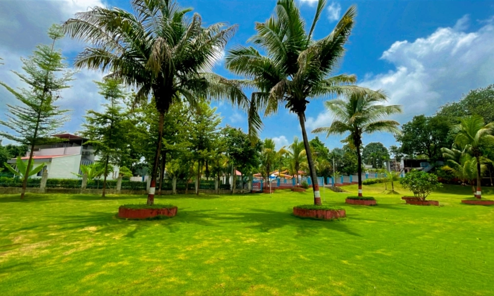 Palm Garden Landscape View