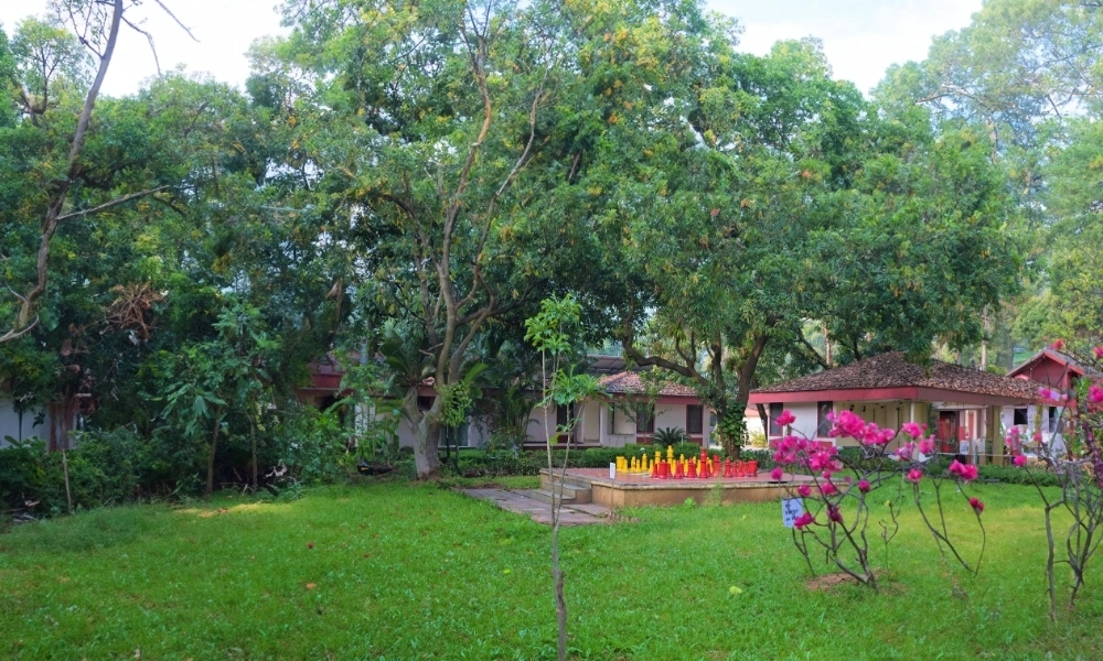 Lush Green Garden Lawn View