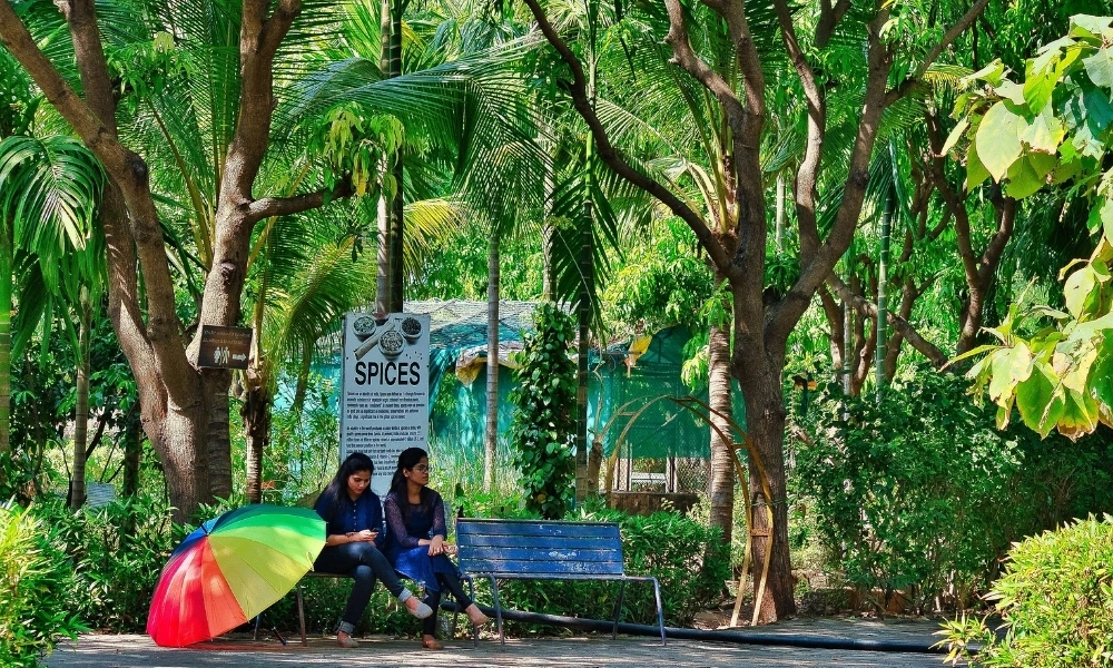 Nature Garden Seating & Relax Zone