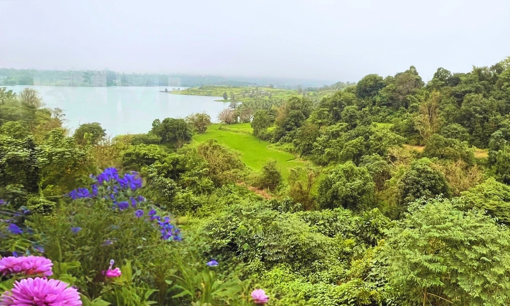 Hilltop Lake & Greenery View