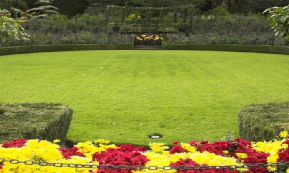Spacious Green Lawn & Garden View