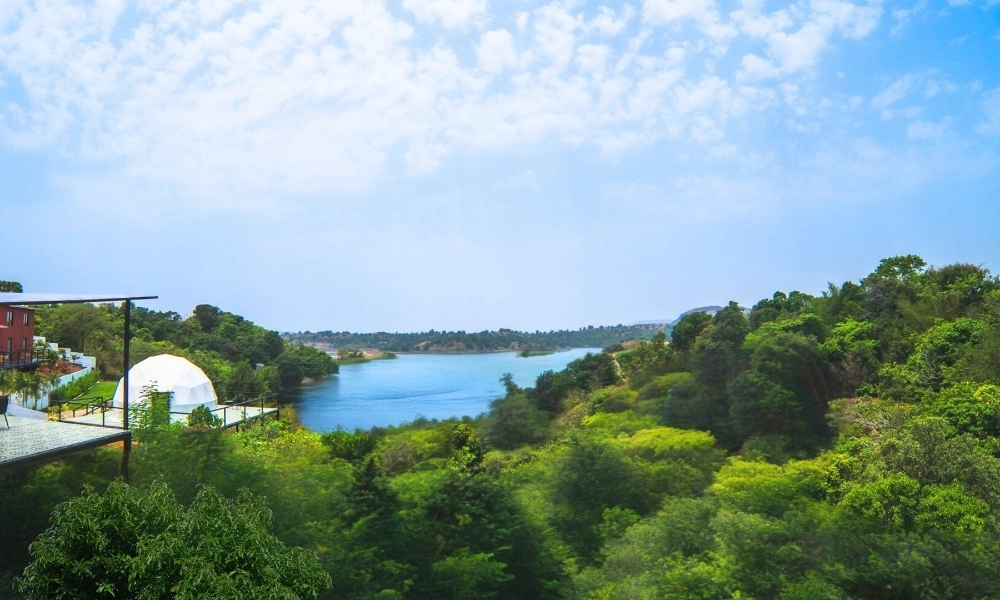 Lake View Nature Landscape