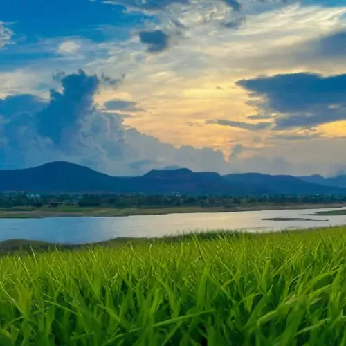 Lake-View Open Spaces