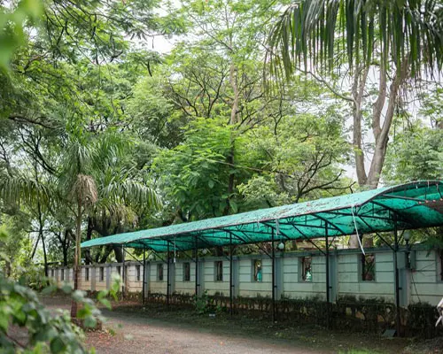 Spacious Parking Area