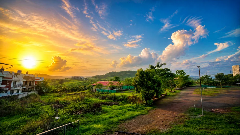 Nature View