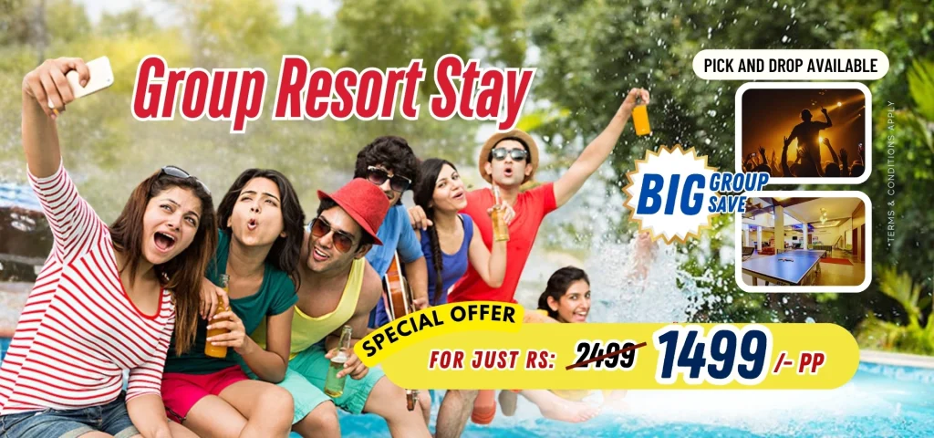 Group Picnic Package