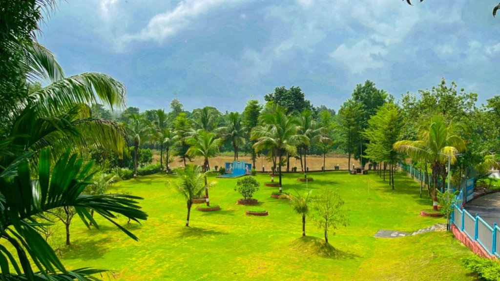Lawn