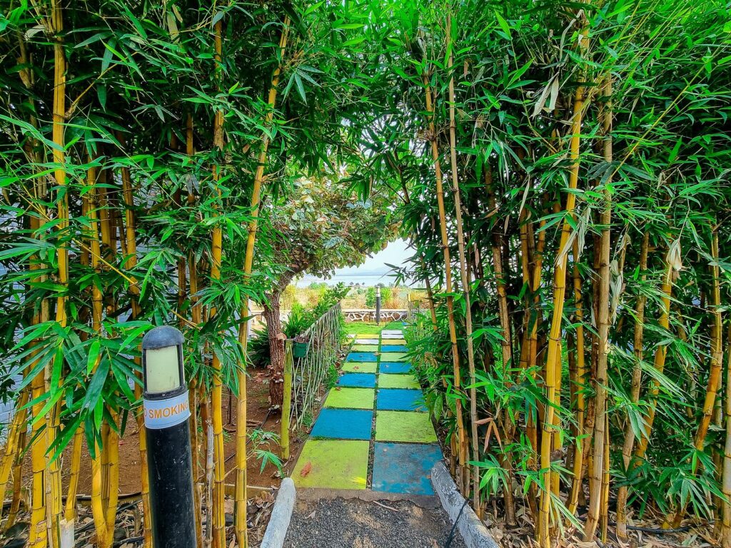 Walking Area