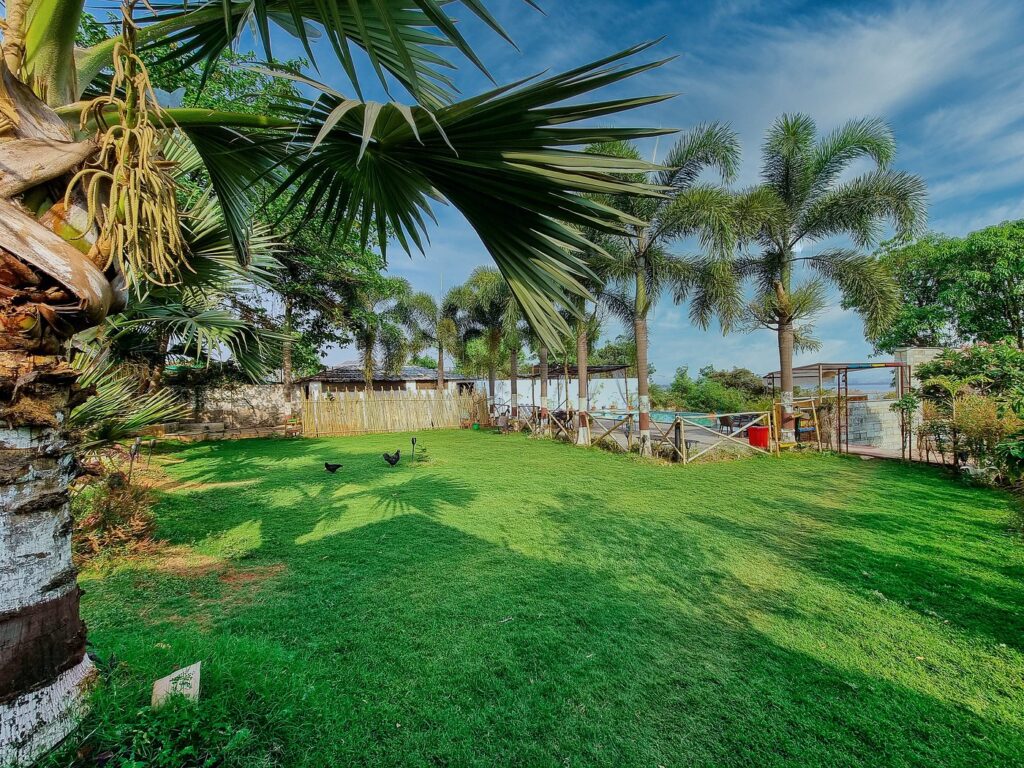 Outdoor Area