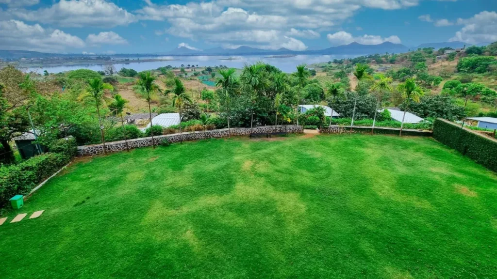 Lawn