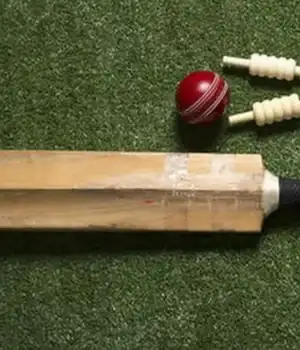 Cricket