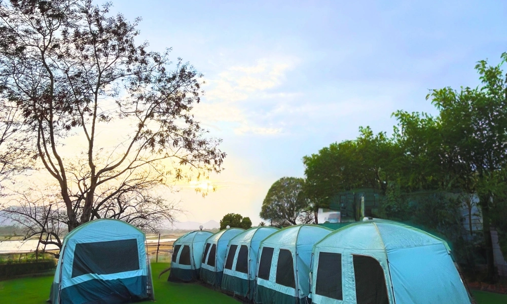Camping Tent