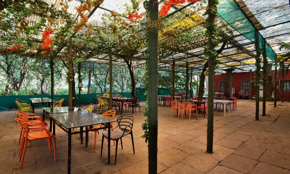 Open Dining Area