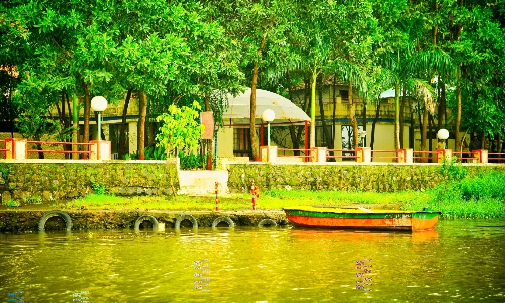 Lakeside View