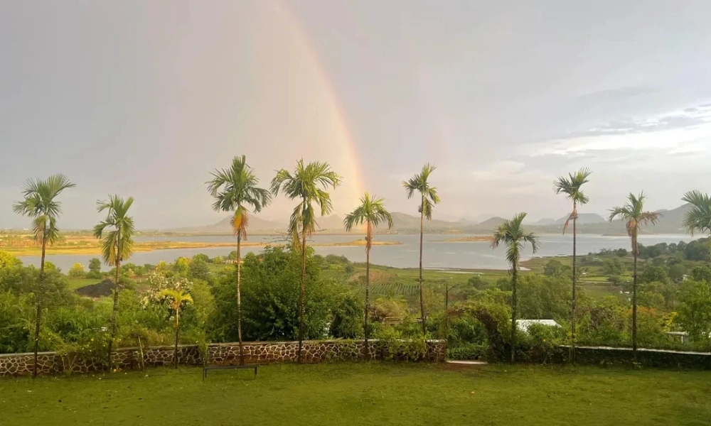 Nature View