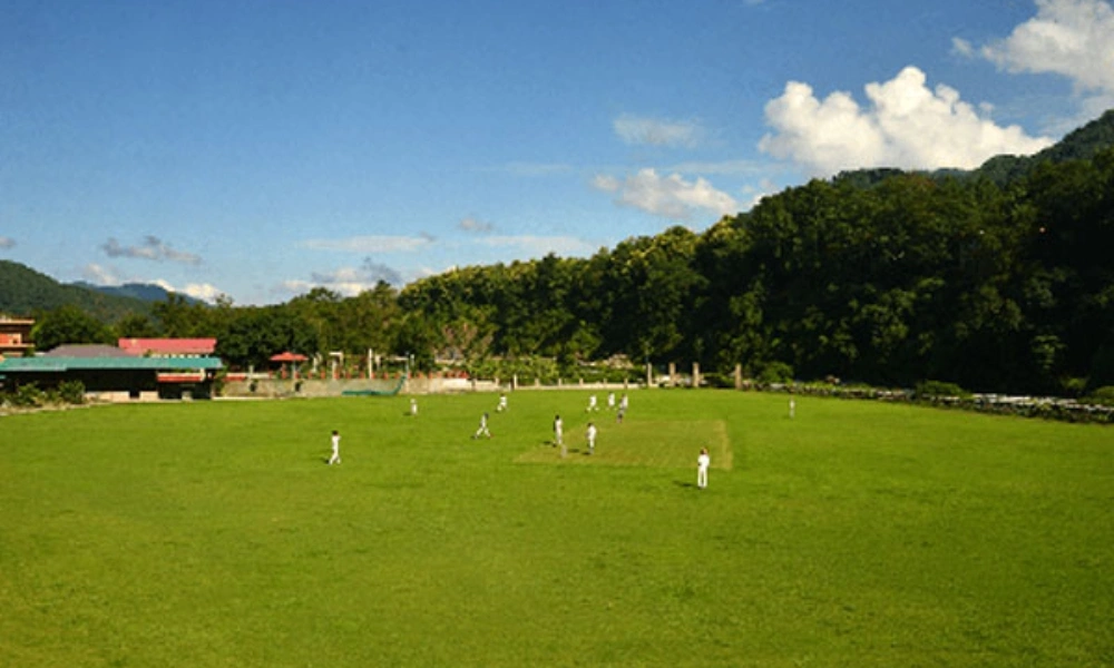 Open Lawn