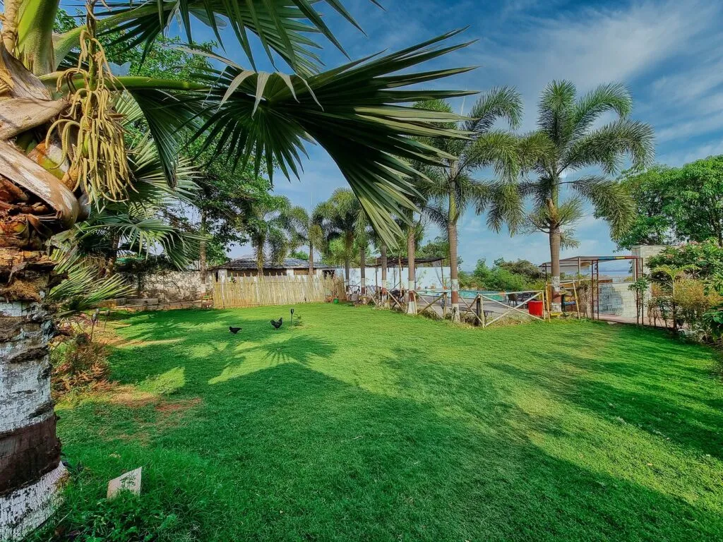 Outdoor Area