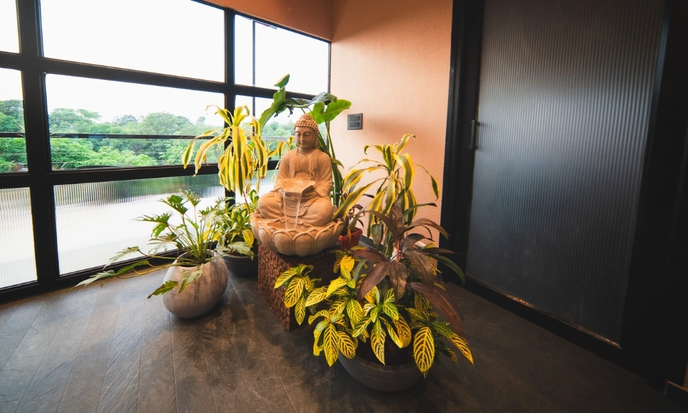 Relax Corner
