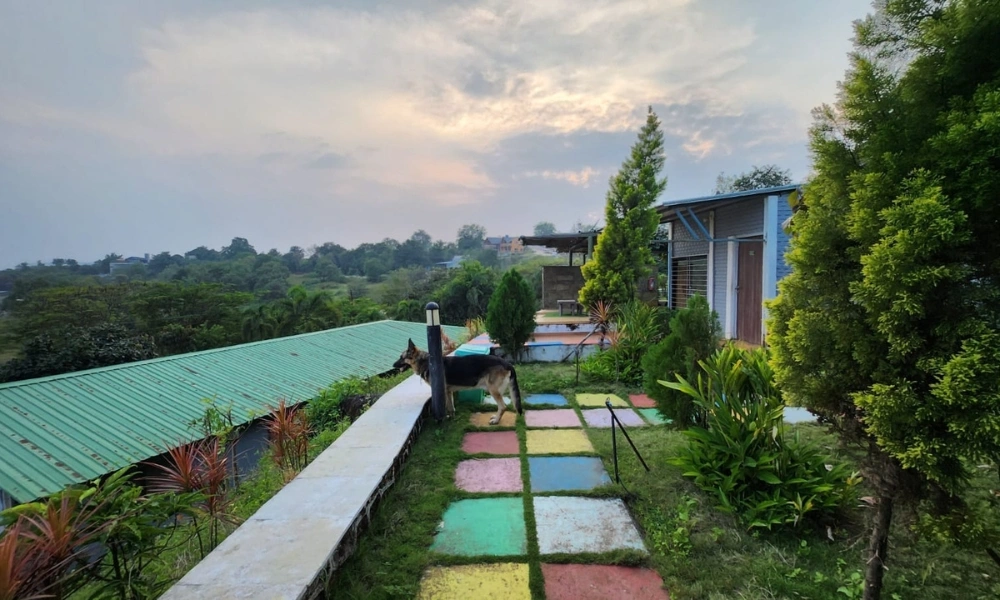 Resort Room Pathway View