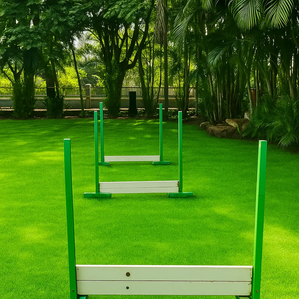 Bounce n Jump Lane
