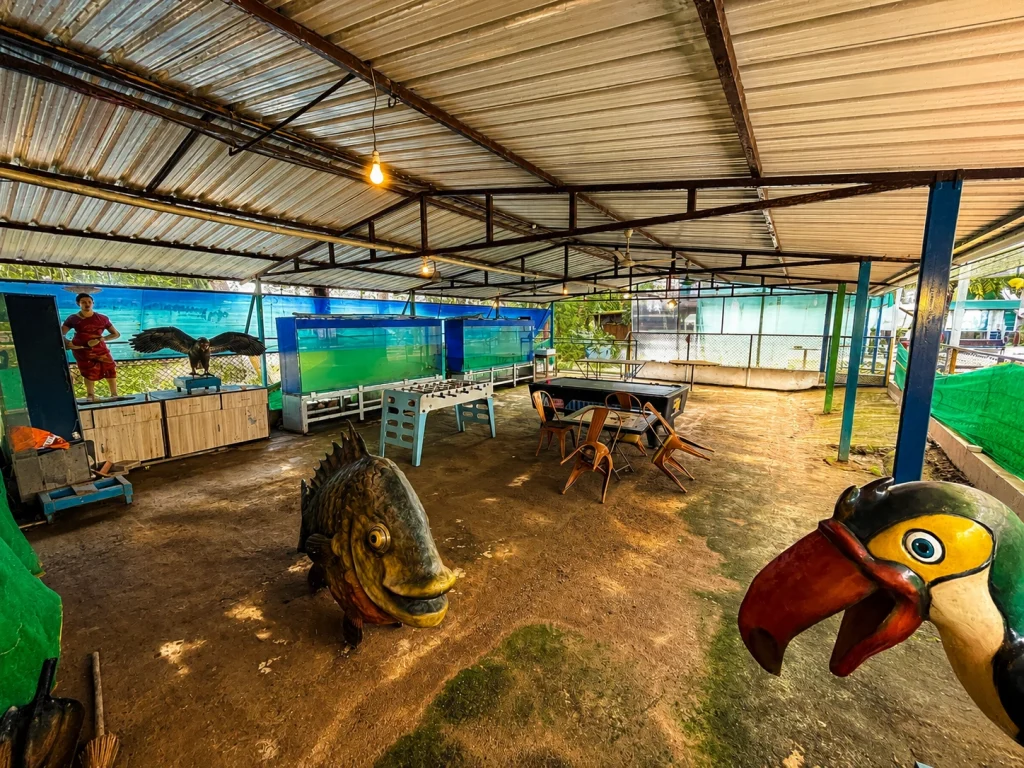 Indoor Games