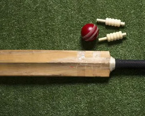 cricket-bat.webp